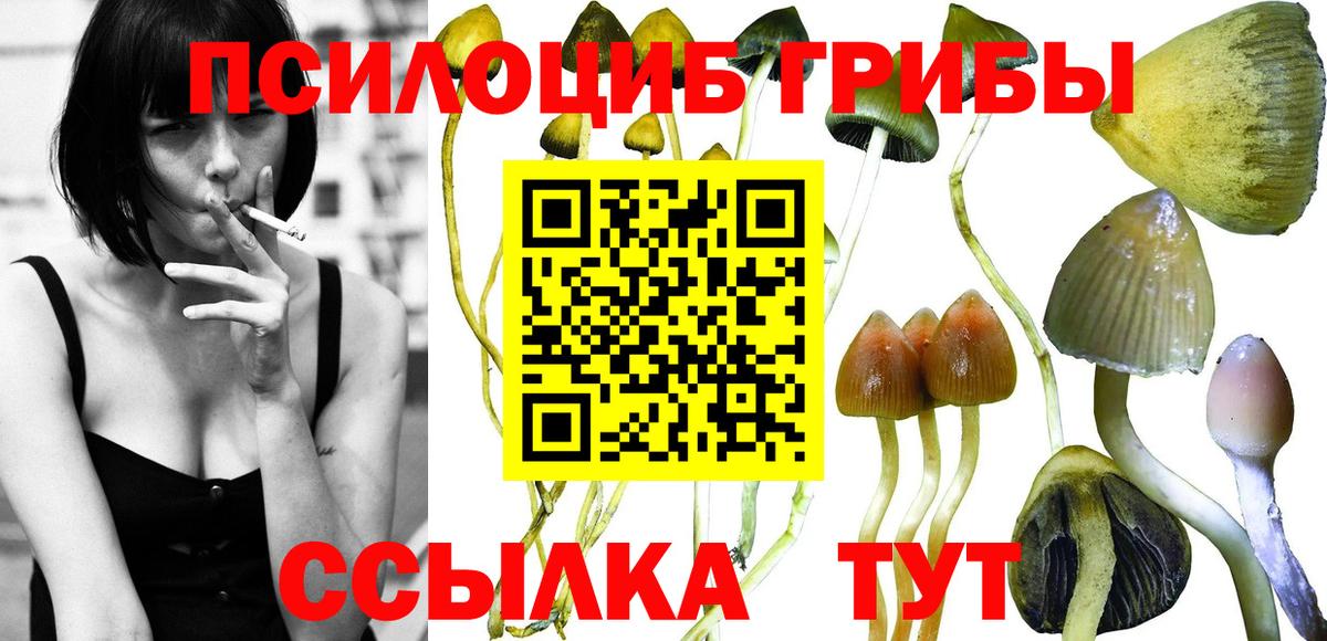 Галлюциногенные грибы GOLDEN TEACHER  Вход с VPN  Галлюциногенные грибы мицелий  Богородск 